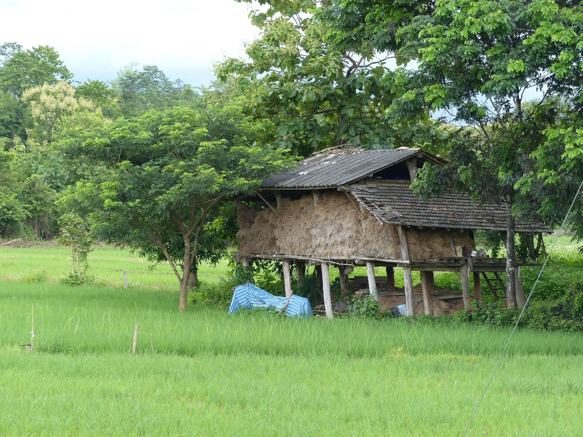 Begin your weather-prepared day with Lampang’s tranquil ambiance